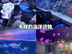 -哈尔滨极地公园