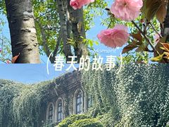 -府河摄影公园