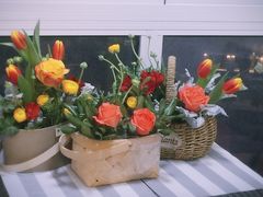 -双季花艺园艺市场(浦东店)