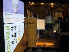-猫的魔法密林(衣裳街店)