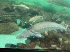 -太平洋海底世界