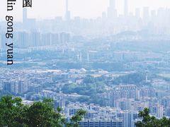 -火炉山森林公园