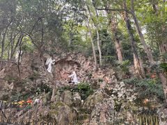 -上海佘山国家森林公园西佘山园