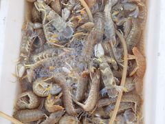 -ChanDu躔度咖啡(灯塔店)