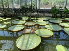 -国家植物园南园