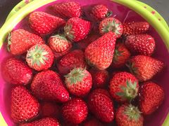 -盛福小关菜市场