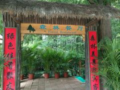 -日照海滨国家森林公园