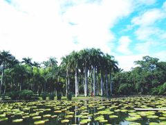 -中国科学院西双版纳热带植物园