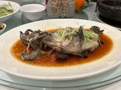 -海都六福酒家(世博广场店)
