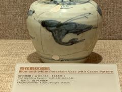 -南越王博物院(王宫展区)