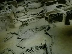 -洛阳周王城天子驾六博物馆