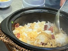 -探窝·竹笙椰子鸡(杨箕店)