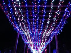 -江天生态园餐厅