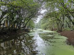 -西溪南古村落景区