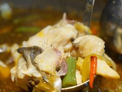 -吃城都·鱼蛙火锅(西玉龙街店)