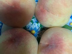 -鲜丰水果(双桂坊店)