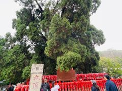 -四门塔风景区