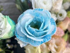 -雪蔓之鲜花气球派对(家佳源时代中心店)