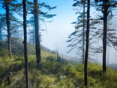 -瓦屋山景区