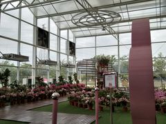 -盈香心动乐园