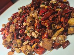 歌山辣子鸡-雲蜀龙阁·金牌水煮鱼(方庄店)