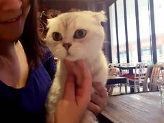 iphone_upload_pic-MIKAKU(万达广场上海宝山店)