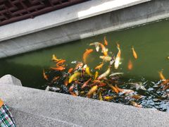 -檀园