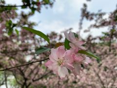 -四川大学(望江校区)