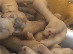 -九斤黄三黄鸡专卖店