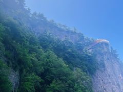 -秦岭天竺山景区