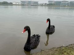-琅岐红光湖公园