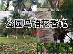 -万绿园