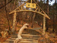 -金龙寺国家森林公园