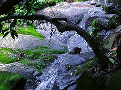 -火炉山森林公园