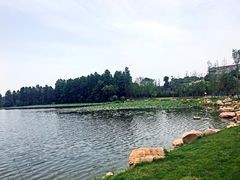 -雅和生态渔庄·宜城锅巴饭(龙灵山公园店)