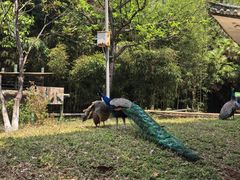 -昆明动物园