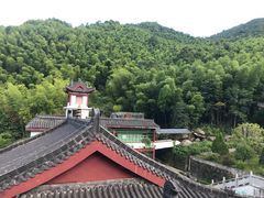 -江西阳明山国家森林公园