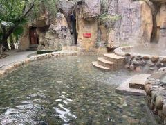 -鱼凫国都大酒店温泉