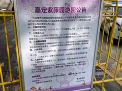-嘉定紫藤园