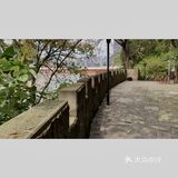 重庆｜ 咖啡大叔芭蕾舞 畅饮一壶又一壶