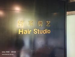 -付军剪艺