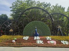 -呀路古热带植物园