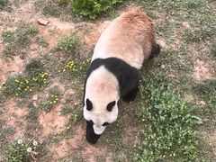 -石家庄市动物园