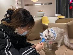 -怪兽屋·羊驼·猫咖·狗咖(俊华广场店)