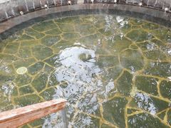 -西安国际创新人才交流中心•药浴温泉
