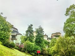 -东岳体育公园