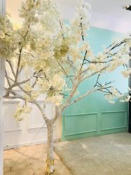 -小鬼当佳儿童摄影(回龙观店)