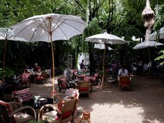 -Fern Forest Cafe