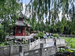 -莲池书院博物馆