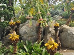 -南通洲际绿博园